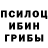 Псилоцибиновые грибы Cubensis Bwoy OhneName