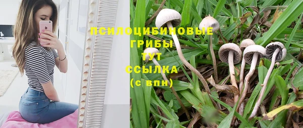 эйфоретик Нея