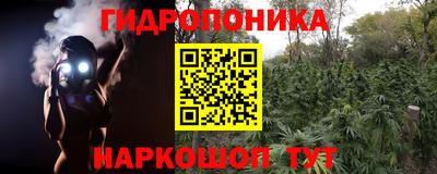 индика Кандалакша