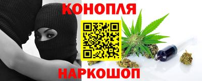 индика Кандалакша