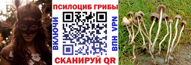 Галлюциногенные грибы мицелий  Красноярск 